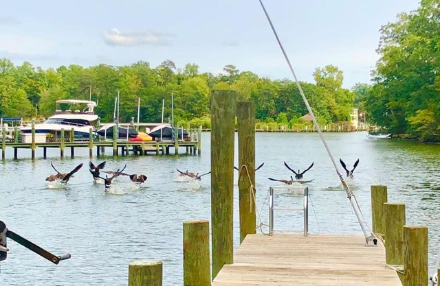 Waterfront Home With Boat Dock & Study