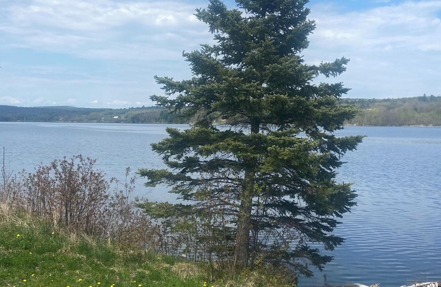 Waterfront on the Saint John River