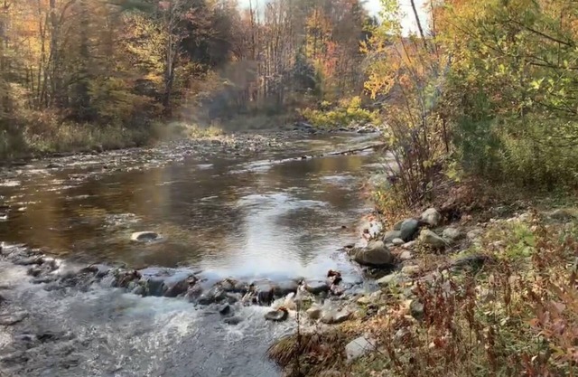 Waterfront Ski House, close to Mt. Snow and Stratton!