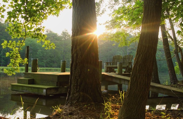 Secluded Waterfront Nature Retreat near Assateague, Berlin, Ocean City