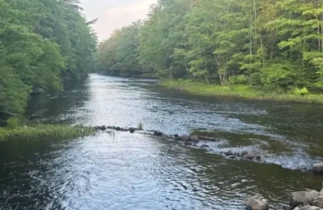 Watersrock Woods Camp Site 1