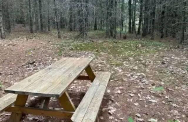 Watersrock Woods Camp Site 2