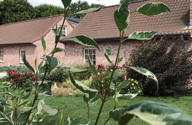 Watou Guesthouse