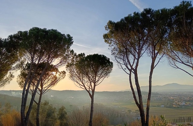 We are waiting for you in the heart of Tuscany for a pleasant stay.