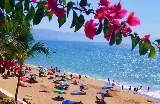 WEEKLY~MONTHLY RENTAL~OCEAN FRONT~WALK 2 BEACH~MALECON ~COUPLES GET AWAY~2 POOLS