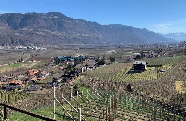 Weingut Bachgütl - Urlaub auf einem schönen Fleckchen Erde