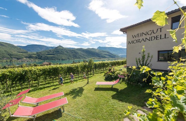 Weingut Morandell