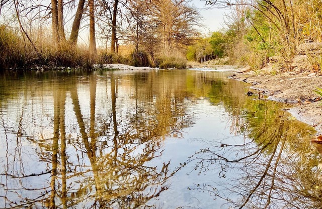 Welcome anytime, 55 yards to the Frio river
