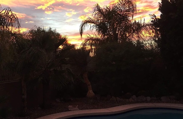 Welcome to 31 Palms, Oasis in the Desert