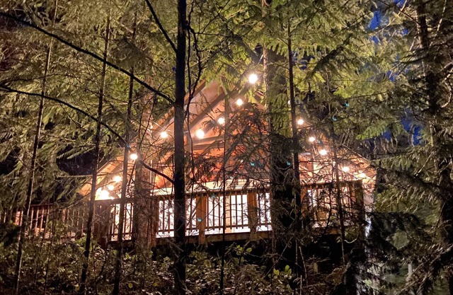 Welcome to Deer Creek Cabin at Lake Cushman!
