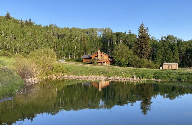 Welcome to Lucky Cub Ranch!