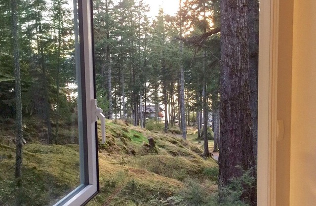 Welcome to Raven's Bluff Guest House....a bird's eye view.