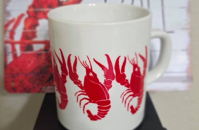 Welcome to the Little Crawfish - 2BR/1.5BA -SUPER CLEAN Condo in Gonzales LA
