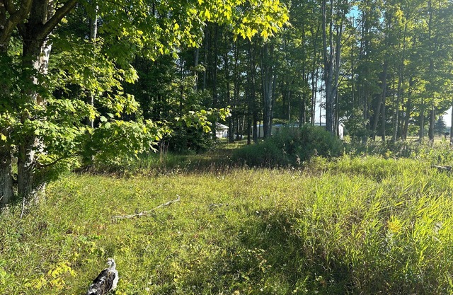 Welcoming campground in heart of the UP with stunning views.