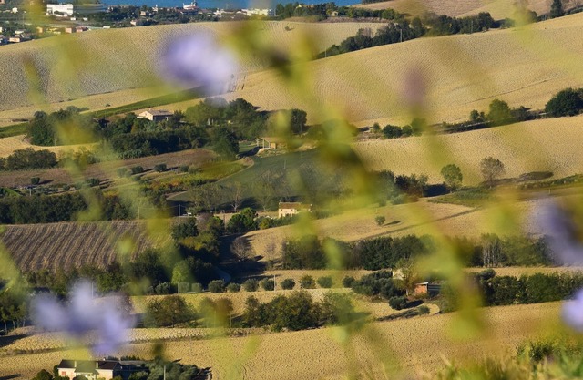 Wellness und Entspannung in der Region Marken in Tenuta Coste da Sole