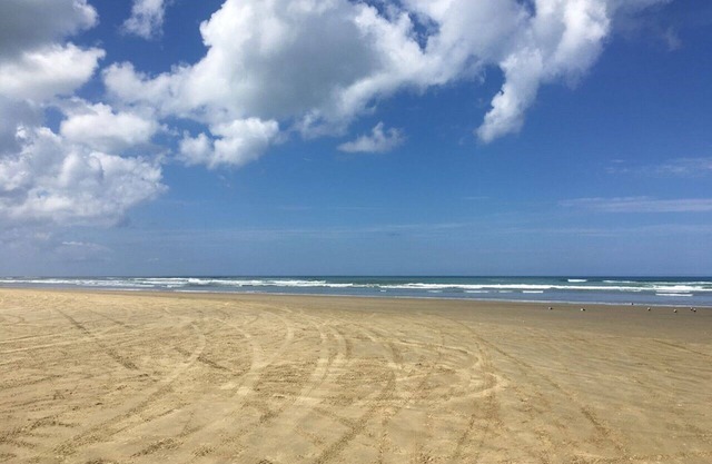 West Coast Heaven. Ein rustikaler, gemütlicher neuseeländischer Bach.
