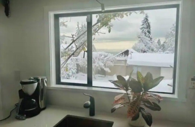 West Vancouver ocean view suite
