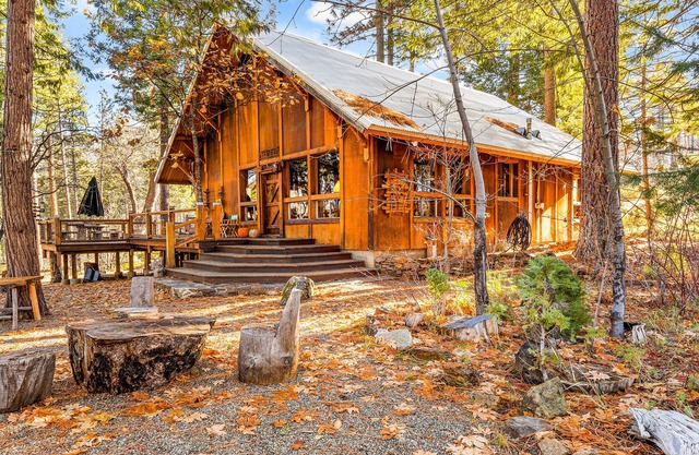 Whimsical outdoor retreat with a pizza oven, firepit, game room, grill, & AC