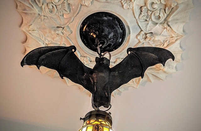 Whimsical Witch's Coven in the heart of Uptown Saint John