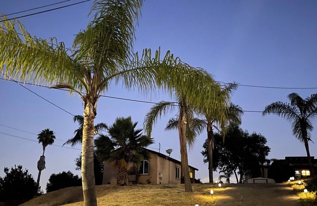 Whispering Palms Grand Cottage