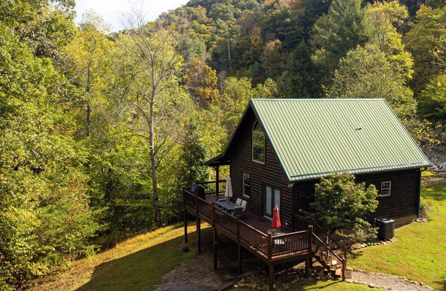 Whistling Timbers Cabin, <1 mile from S. Holston River/Dam, pet-friendly w/fee