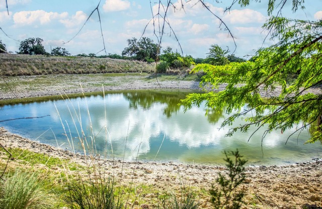 White Cottage | Pet-friendly | Peaceful