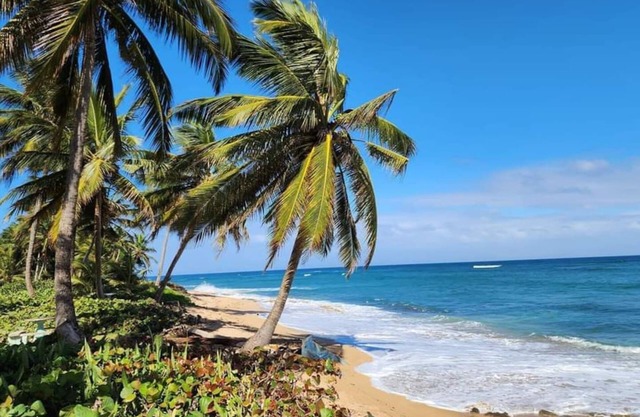White Paradise Seaside Haven: Relax and Unwind