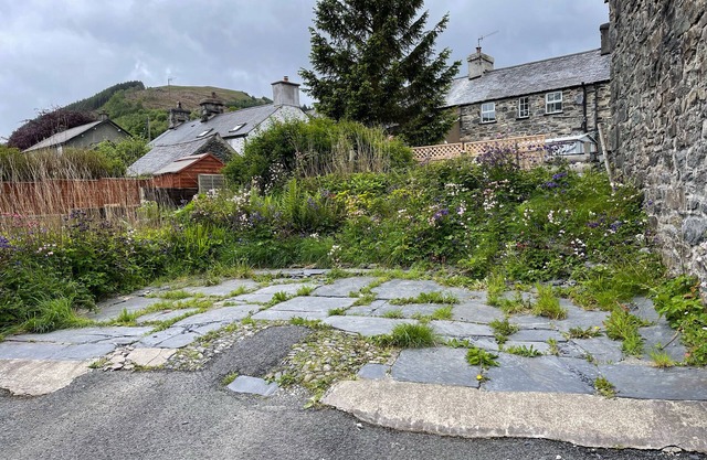 White Roses Retreat