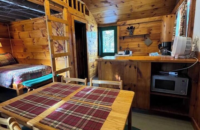 Whiteface Skier Cabin