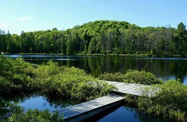 Whole home, private lake, sauna, WFH office