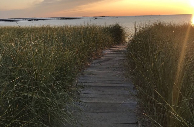 Why rent a Hotel when you can have a whole House!!