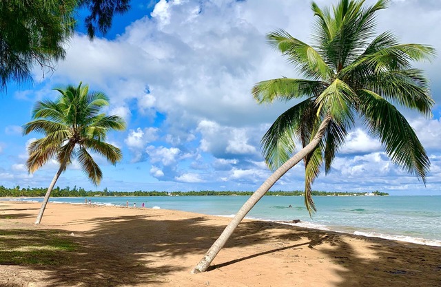Wide Secluded Beach. Pool. Rainforest. Bio Bay. Golf. Gated. No Cleaning Fee.