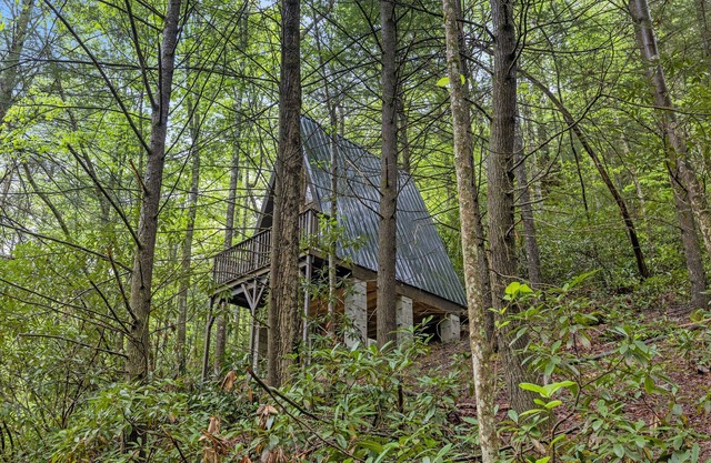 WiFi & Adventure - Fern Grove - Camping Cabin Retreat in Red River Gorge, Kentucky!