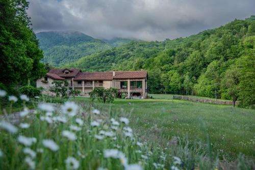 Wild Adelasia - Cascina Sarvaglioni