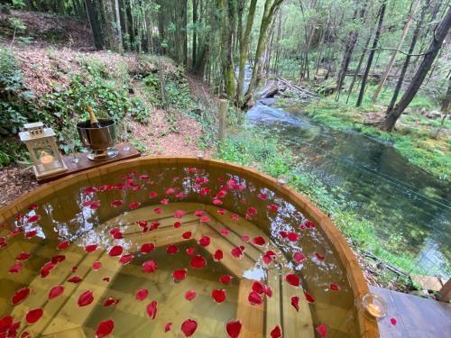 Wild Glamping Portugal - relax by Serra de Arga waterfalls in Viana do Castelo with hot tub