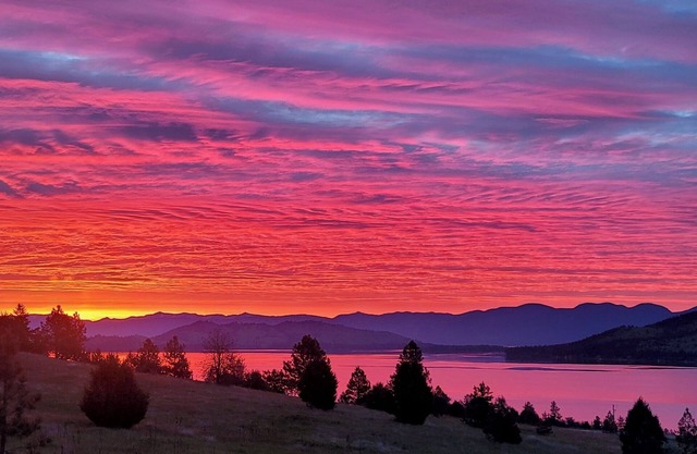 Wild Horse Sunrise at Flathead Lake