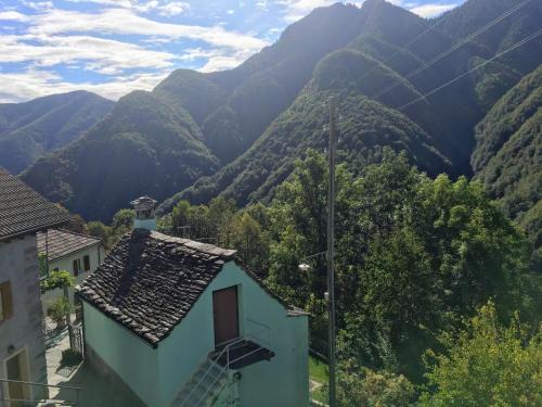 Wild Valley Rusticino