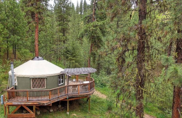 Wildedge Ranch Yurt