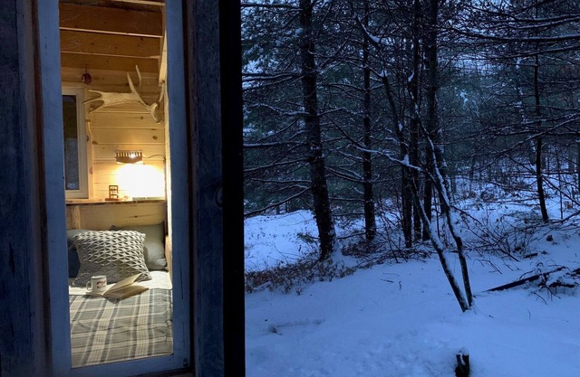 Wilderness Adventure Cabin, Unique Experience