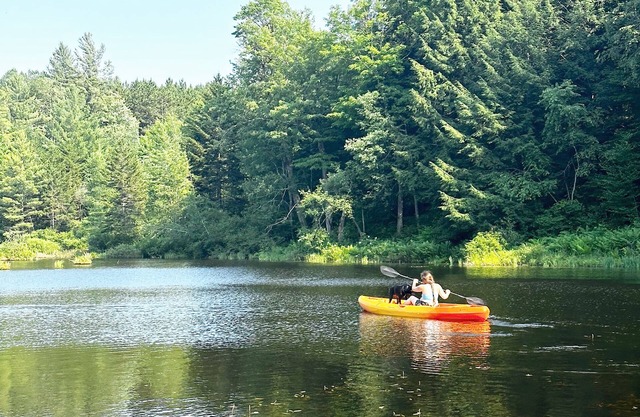 Wilderness Escape: Entire Adirondack Campground
