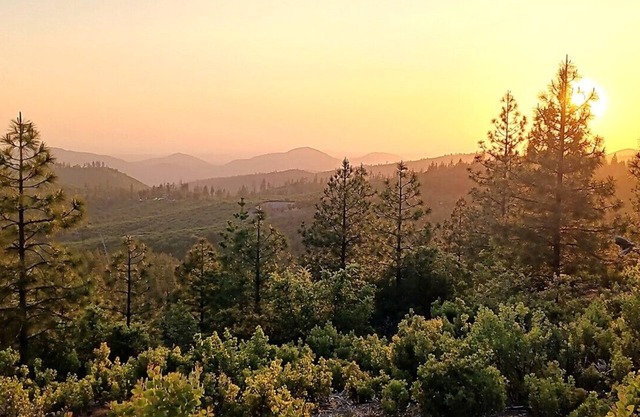 Private und gemütliche Hütte mit 2 Schlafzimmern, umgeben von Wildnis
