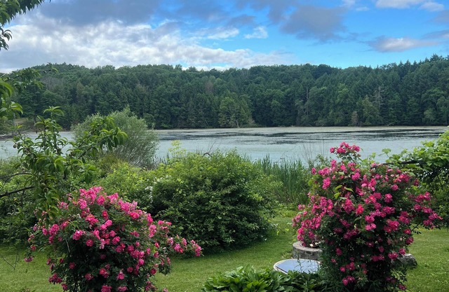 Wildlife Lakeside Cottage beautiful views, amazing wildlife, great location