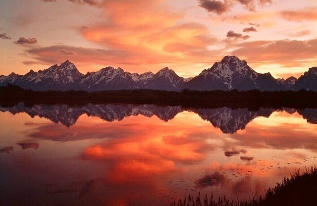 Umgestaltete Wohnung, Free Sports Club, Fahrräder; Tierwelt, Straßenbahnblick, Grand Teton NP