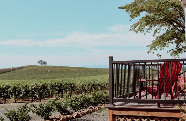 Willamette Valley Wine Country Retreat
