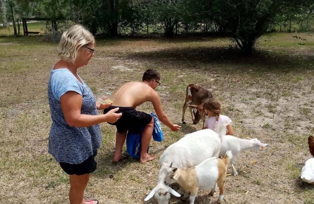 Williston Fl Petting Zoo 10 minutes to Blue Grotto