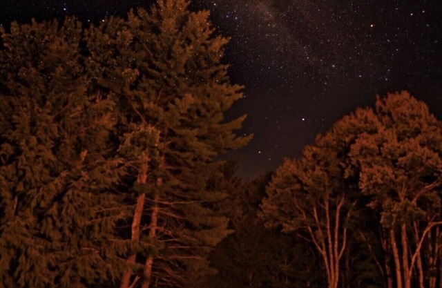 Windham Area 2 BR Cabin en el bosque