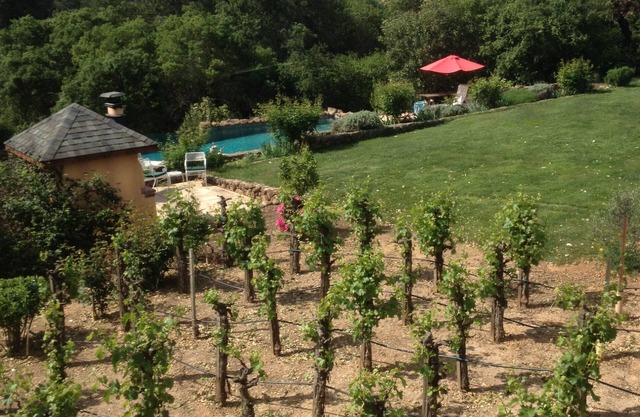 Weinland Wochenende; Aufenthalt in einem Weingut