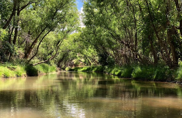 Weingüter, Sedona, Jerome, Verde River, Naturschutzgebiet