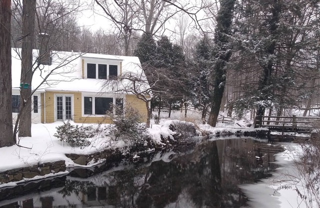 Winter Wonderland