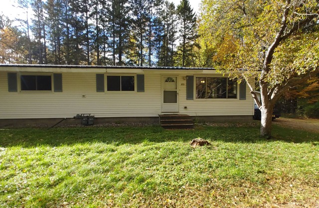 Wintergreen Pelican River Retreat #2 No cleaning fee